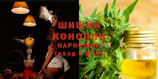 МДПВ Магас