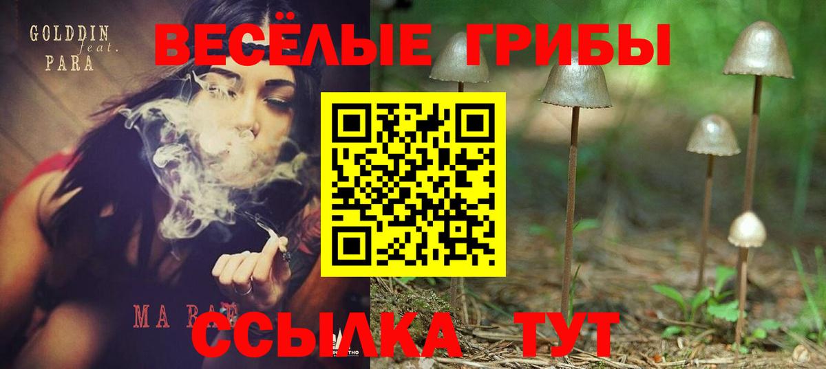 Галлюциногенные грибы Cubensis Темрюк