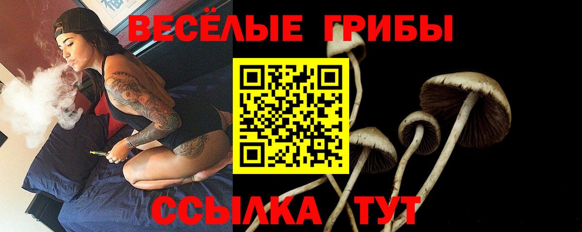 Темрюк  Галлюциногенные грибы мицелий  Вход с VPN 