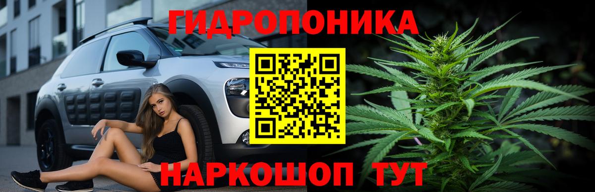 Бошки марихуана семена  Каннабис LSD WEED  Темрюк  Каннабис марихуана 